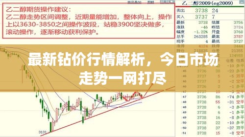 最新钻价行情解析，今日市场走势一网打尽
