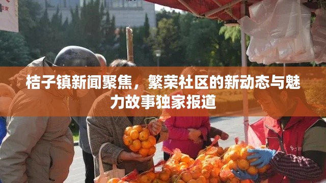 桔子镇新闻聚焦，繁荣社区的新动态与魅力故事独家报道