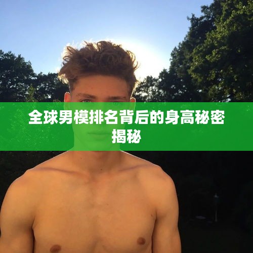 全球男模排名背后的身高秘密揭秘