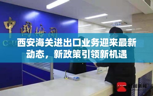西安海关进出口业务迎来最新动态，新政策引领新机遇