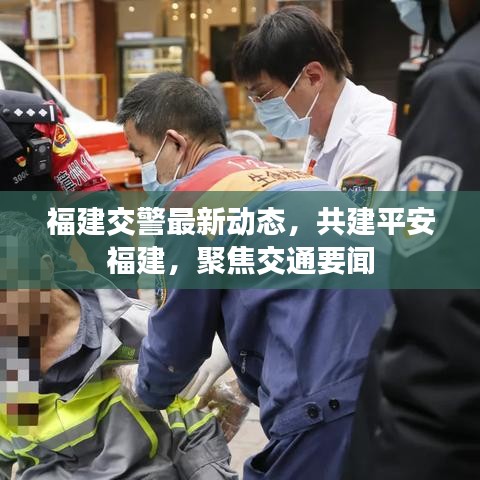 福建交警最新动态，共建平安福建，聚焦交通要闻