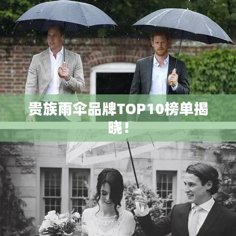 贵族雨伞品牌TOP10榜单揭晓！