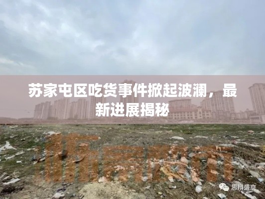 苏家屯区吃货事件掀起波澜，最新进展揭秘
