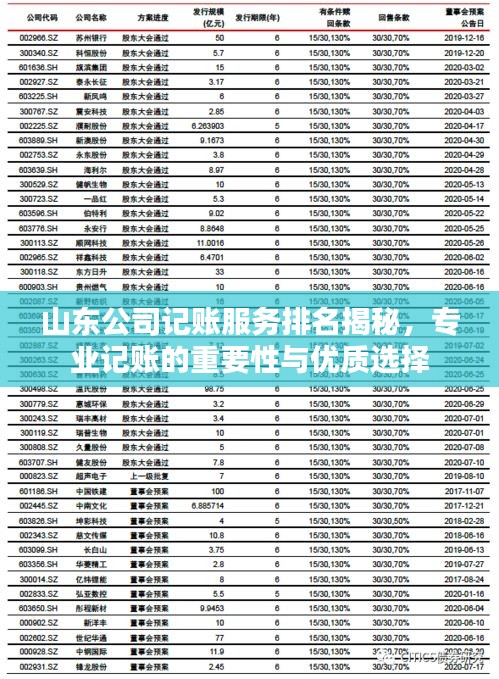 山东公司记账服务排名揭秘，专业记账的重要性与优质选择