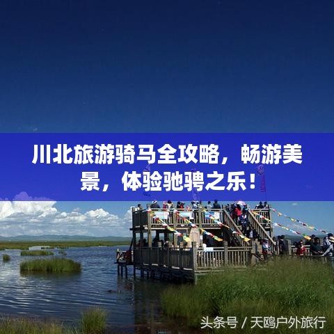 川北旅游骑马全攻略，畅游美景，体验驰骋之乐！