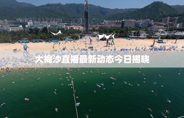 大梅沙直播最新动态今日揭晓