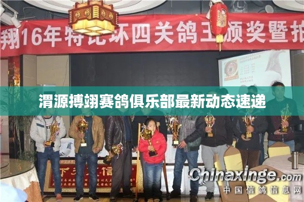渭源搏翊赛鸽俱乐部最新动态速递