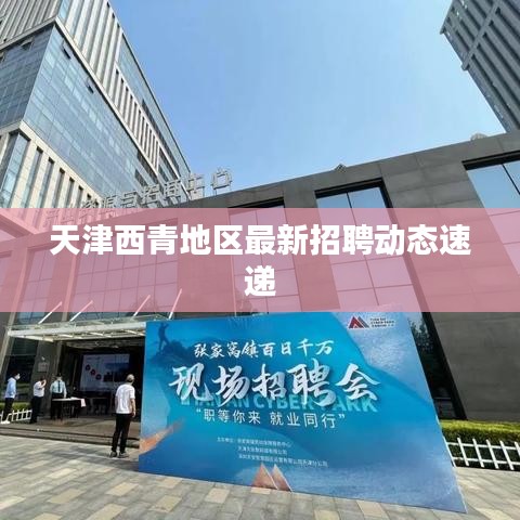天津西青地区最新招聘动态速递