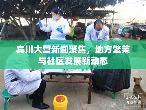 宾川大营新闻聚焦，地方繁荣与社区发展新动态