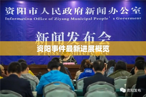资阳事件最新进展概览