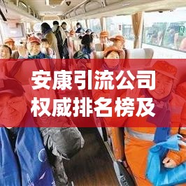 安康引流公司权威排名榜及深度行业洞察揭秘