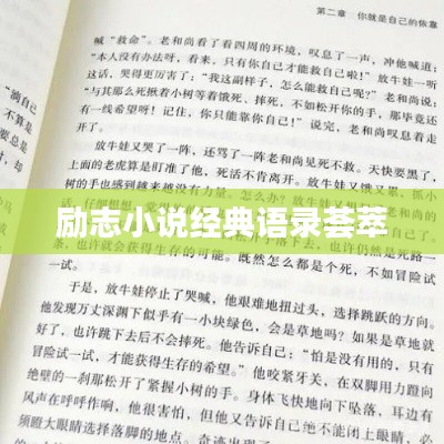 励志小说经典语录荟萃