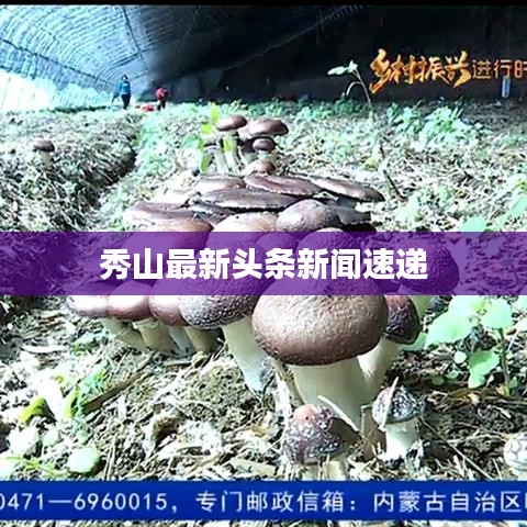 去就之分