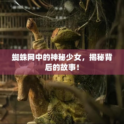 蜘蛛网中的神秘少女，揭秘背后的故事！