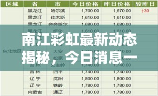 南江彩虹最新动态揭秘，今日消息一网打尽！