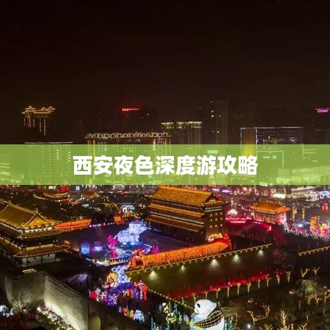 下载中心 第49页