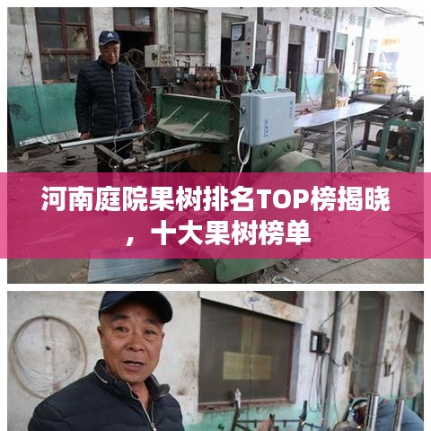 河南庭院果树排名TOP榜揭晓，十大果树榜单