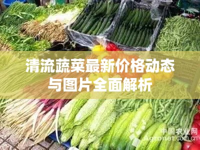 清流蔬菜最新价格动态与图片全面解析