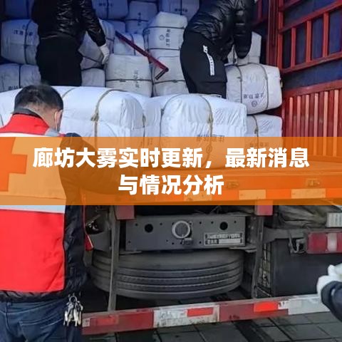 廊坊大雾实时更新，最新消息与情况分析