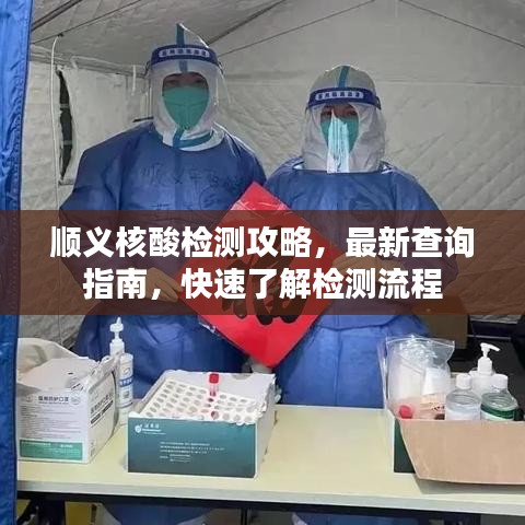 顺义核酸检测攻略，最新查询指南，快速了解检测流程