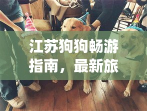 江苏狗狗畅游指南，最新旅行攻略