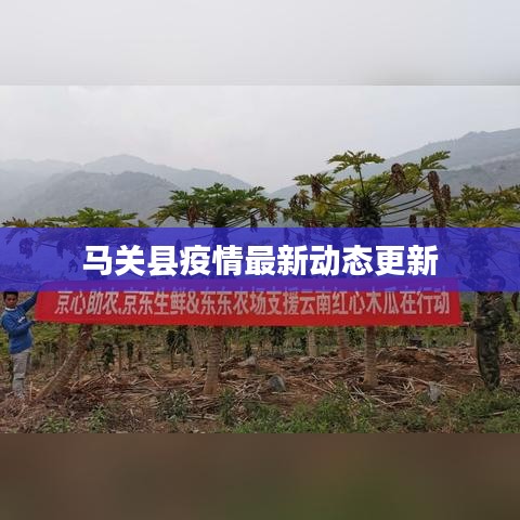 马关县疫情最新动态更新