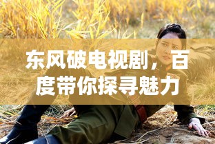东风破电视剧，百度带你探寻魅力之源！