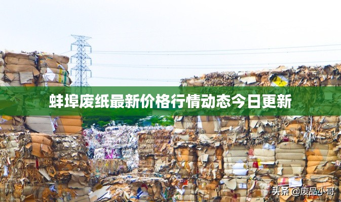 蚌埠废纸最新价格行情动态今日更新