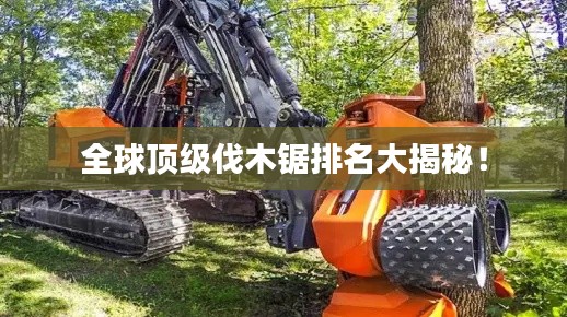 全球顶级伐木锯排名大揭秘！