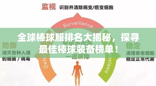 全球棒球服排名大揭秘，探寻最佳棒球装备榜单！