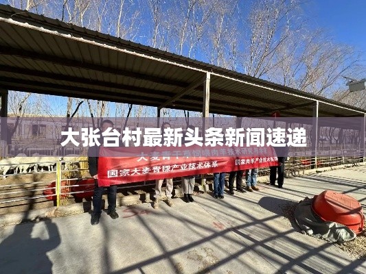 大张台村最新头条新闻速递