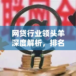 网贷行业领头羊深度解析，排名前十机构一览