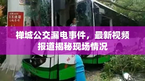 禅城公交漏电事件，最新视频报道揭秘现场情况