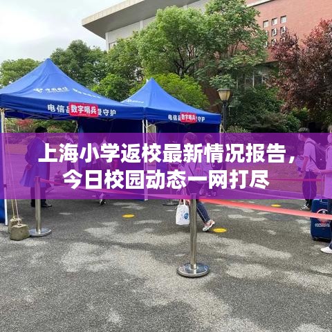 上海小学返校最新情况报告，今日校园动态一网打尽