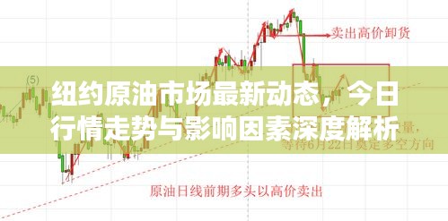 纽约原油市场最新动态，今日行情走势与影响因素深度解析