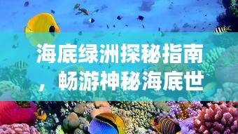 海底绿洲探秘指南，畅游神秘海底世界！