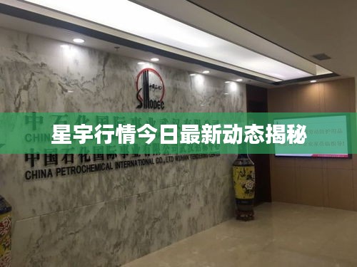 星宇行情今日最新动态揭秘
