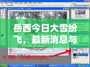 岳西今日大雪纷飞，最新消息与实时动态播报
