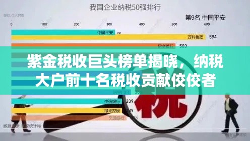 紫金税收巨头榜单揭晓，纳税大户前十名税收贡献佼佼者