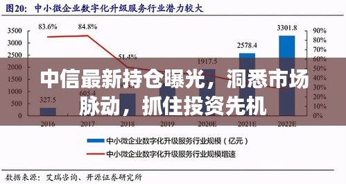 中信最新持仓曝光，洞悉市场脉动，抓住投资先机