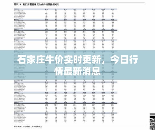 石家庄牛价实时更新，今日行情最新消息