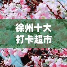 徐州十大打卡超市，购物新宠上榜！