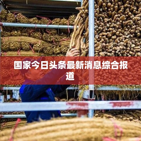 国家今日头条最新消息综合报道