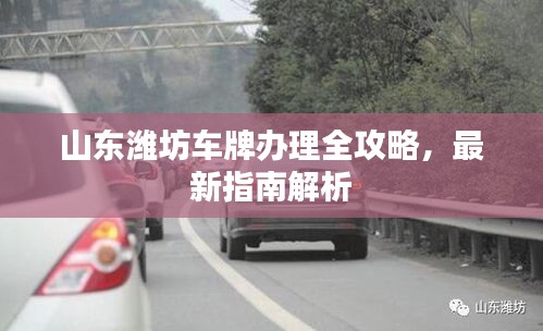 山东潍坊车牌办理全攻略，最新指南解析