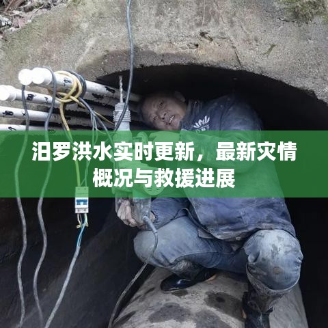 汨罗洪水实时更新，最新灾情概况与救援进展