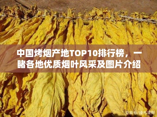 中国烤烟产地TOP10排行榜，一睹各地优质烟叶风采及图片介绍