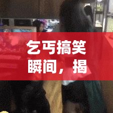 乞丐搞笑瞬间，揭示生活轻松百态