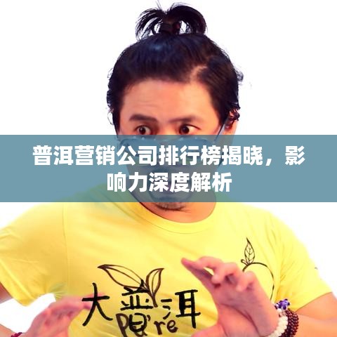 普洱营销公司排行榜揭晓，影响力深度解析