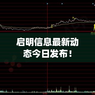 启明信息最新动态今日发布！