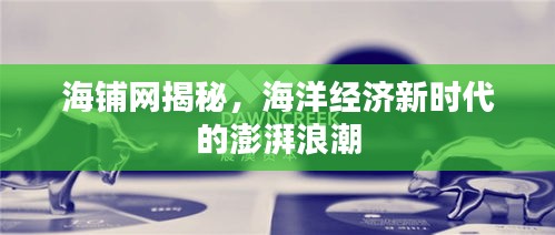 海铺网揭秘，海洋经济新时代的澎湃浪潮